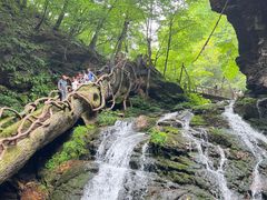 -五女峰国家森林公园