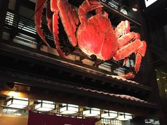 -蟹料理 北海道かに将軍(札幌本店)