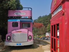 -铁山坪森林公园