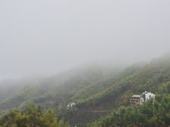 -江南天池