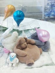 -Mr·Kuma酷么先生雪之乐园