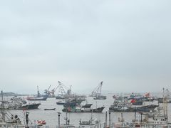 -高佳庄·舟山海鲜(海景旗舰店)