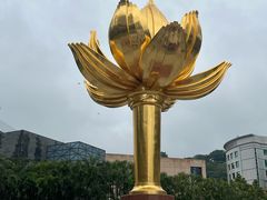 -金莲花广场
