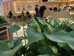 -鹊茶咖啡•新中式(深圳首店)