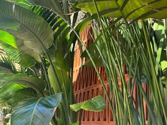 -云阿蛮云南生烫牛肉米线(奉贤路店)