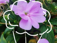 -西安市长乐公园