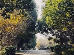 -南京市江宁方山