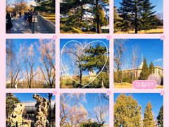 -北京动物园