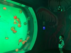 -沈阳海洋探索中心