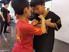 -温鉴良实用咏春拳