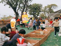 -长洲岛都市农业公园