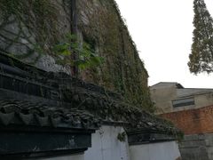 -状元楼(金溪路店)