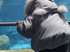 -南昌融创海世界