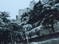 -贮水山儿童公园