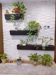 -青青一生美皮肤管理