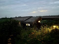 -池杉湖湿地公园