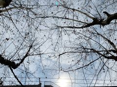 -裕兴记·三虾面(西北街总店)