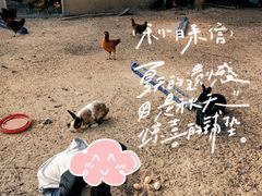 -甜心庄园·甜心草莓采摘园(西青中北店)