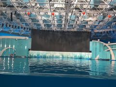 -海合安青岛极地海洋公园