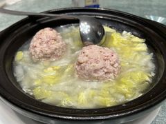 -丁老爷子苏香圆