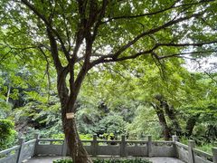 -善卷洞风景区
