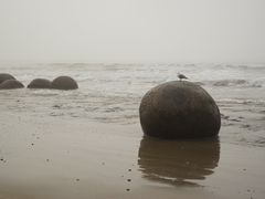 -摩拉基大圆石