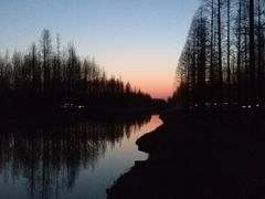 -黄海国家森林公园