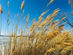 -野鸭湖国家湿地公园