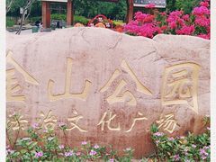 -金山公园