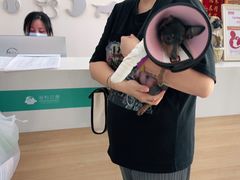 -谐和贝康宠物医院24小时·宠保定点(急重症转诊中心)