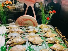 -五月罗马海鲜自助餐厅(陆家嘴店)