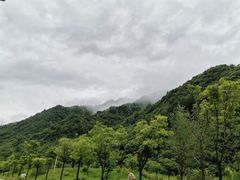 -牛背梁国家森林公园