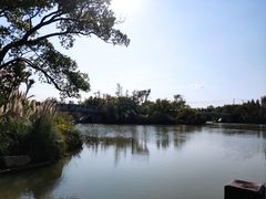 -上海长兴岛郊野公园