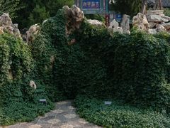 -莲池书院博物馆