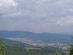 -长虫山生态公园风景林