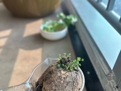 -千喜·艾灸·理疗·塑形(益田假日世界店)