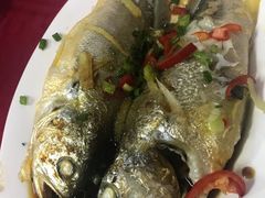 -蛇口康乐快餐鱼仔档(翠苑小区店)