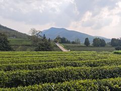 -周震馄饨(雅达阳羡溪山店)