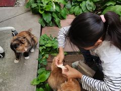 -萌兽医馆·犬猫专科·眼科中心·宠物医院(朝阳门分院)