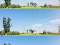 -白鹭湾湿地公园