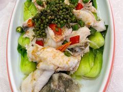 -津悦·正阳春烤鸭(红旗南路店)