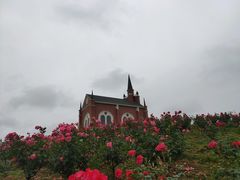 -都江堰玫瑰花溪谷