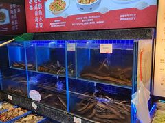 -船歌·鱼水饺青岛菜(石老人店)