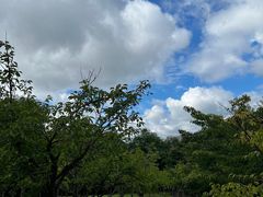 -大连植物园