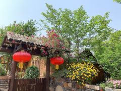 -鹅湖玫瑰文化园
