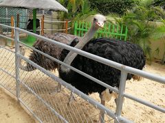 -三亚亚龙湾天域度假酒店