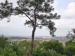 -仙岳公园