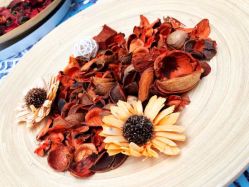 -酉嘉瑜伽YO+YOGA