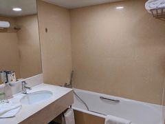 -香港皇家太平洋酒店