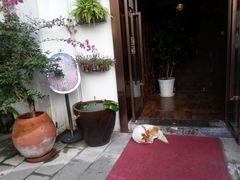 餐饮-屋顶顶城市·江景酒店-客房部